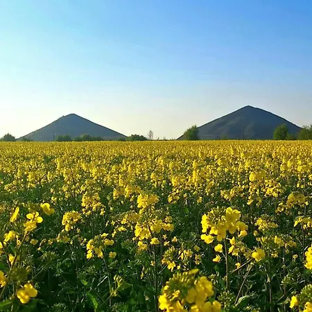 3 Etoiles Le Charme Des Cerisiers 8 Pers