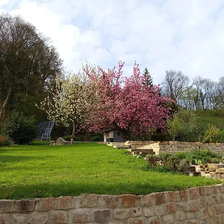 3 Etoiles Le Charme Des Cerisiers 8 Pers *